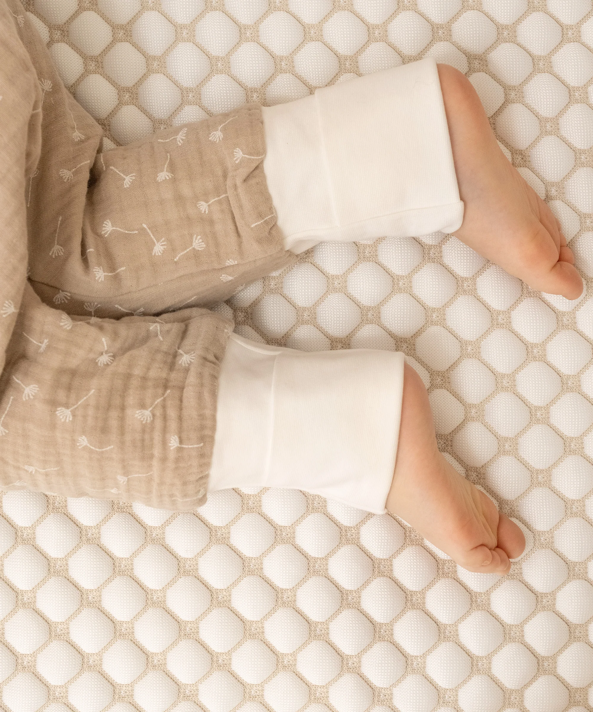 Vorschaubild 6